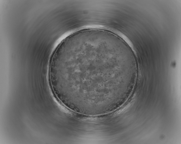 X0000091371245200708101525