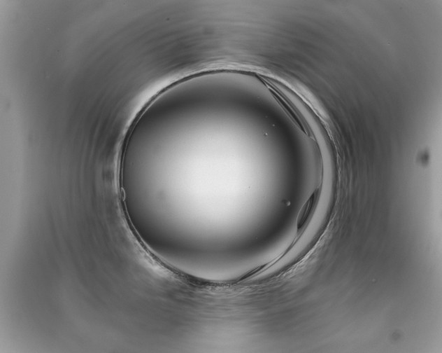 X0000091371246200708101525