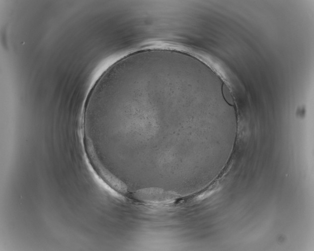 X0000091371247200708101525