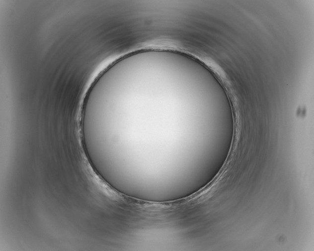 X0000091371248200708101525