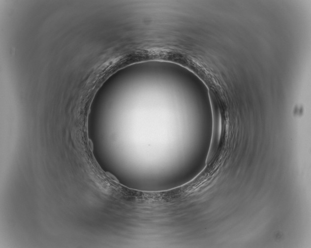 X0000091371249200708101525