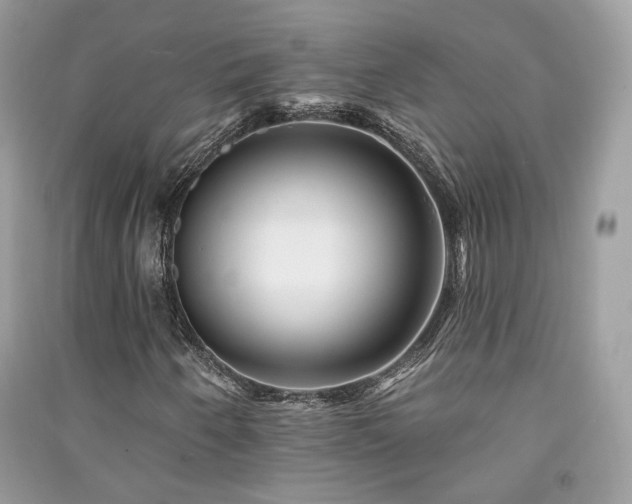 X0000091371250200708101525