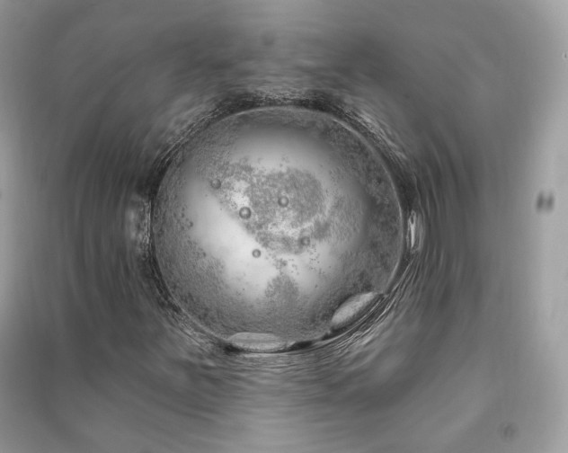 X0000091371251200708101525