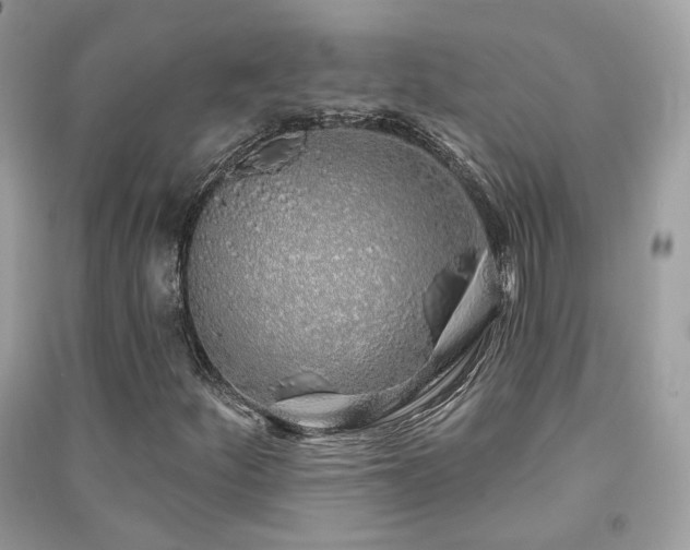 X0000091371252200708101525