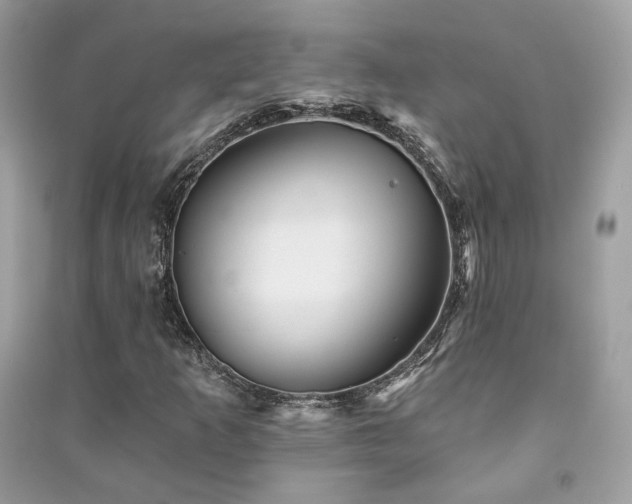 X0000091371253200708101525