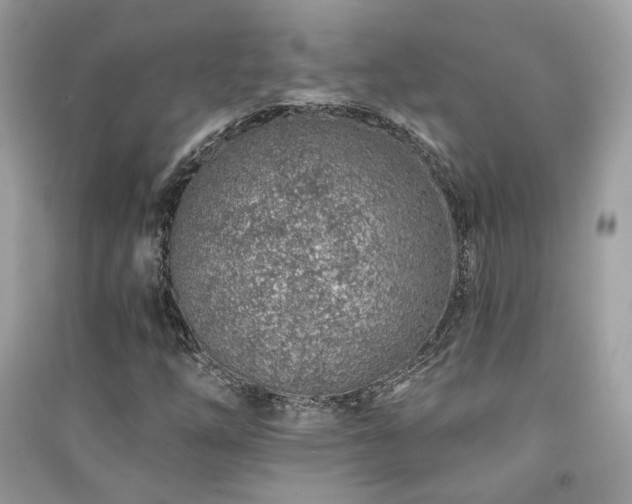 X0000091371254200708101525