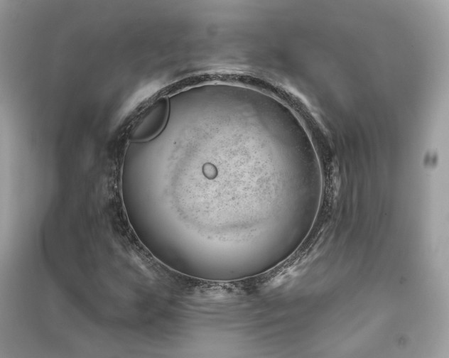 X0000091371255200708101525