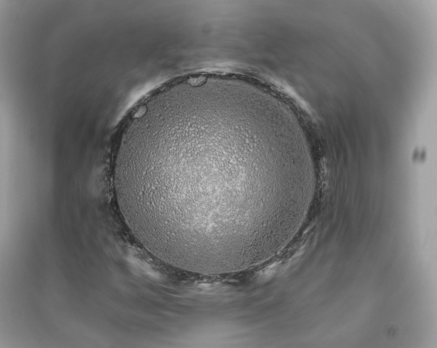 X0000091371256200708101525