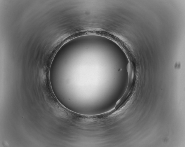 X0000091371257200708101525