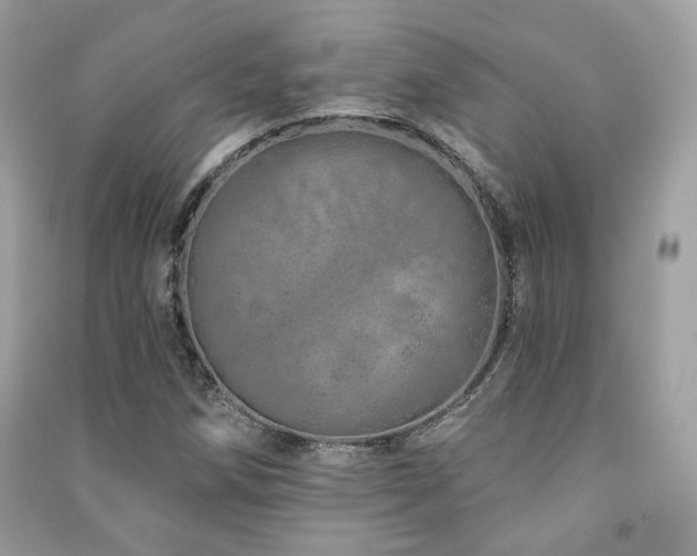 X0000091371258200708101525