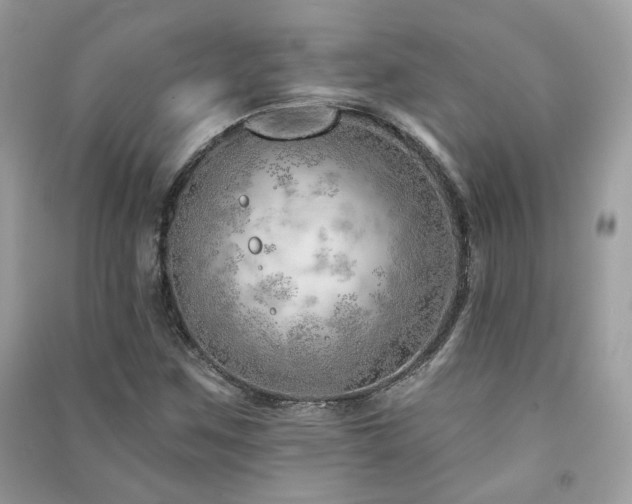 X0000091371259200708101525