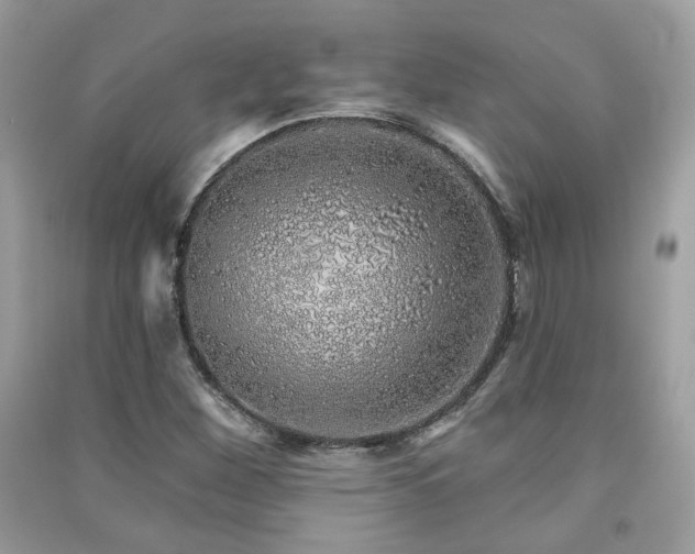 X0000091371260200708101525