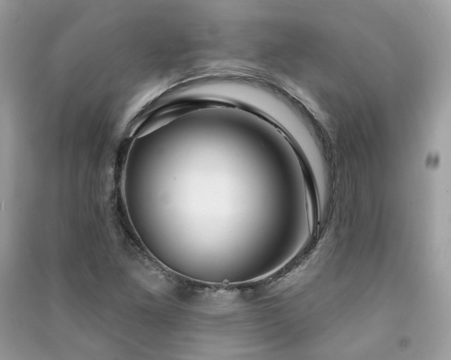 X0000091371261200708101525