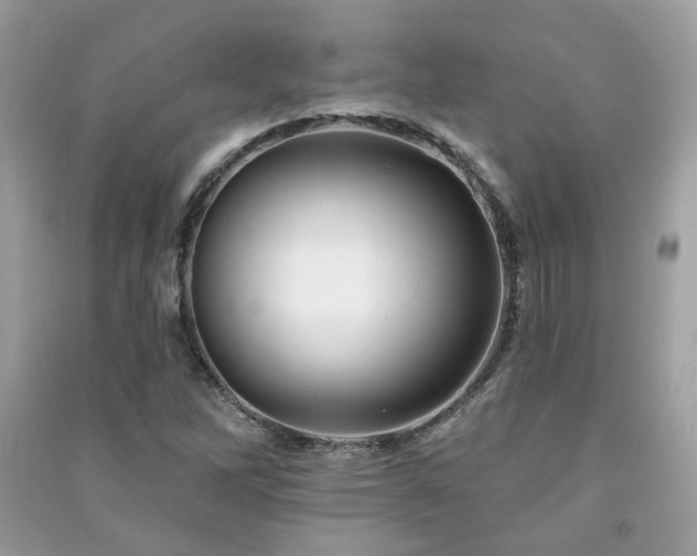 X0000091371262200708101525