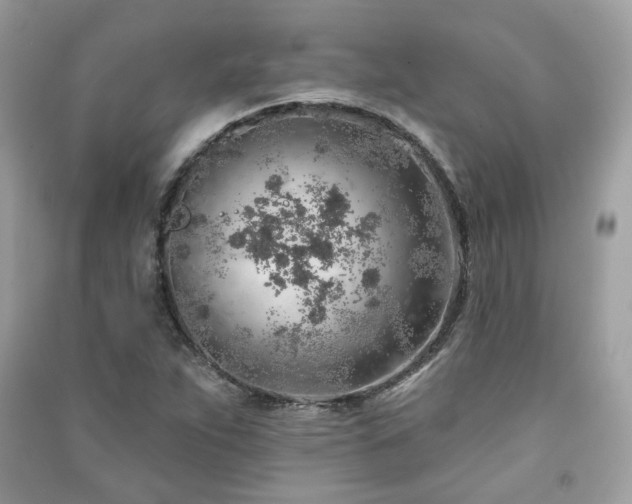 X0000091371263200708101525