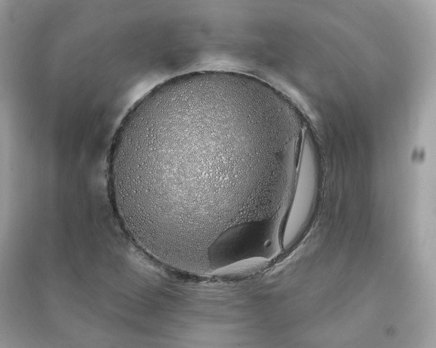 X0000091371264200708101525