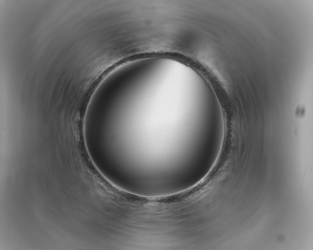 X0000091371265200708101525