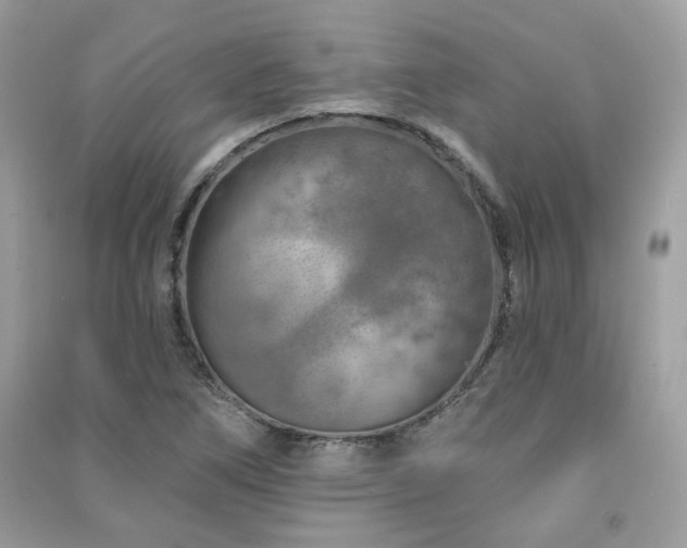 X0000091371266200708101525