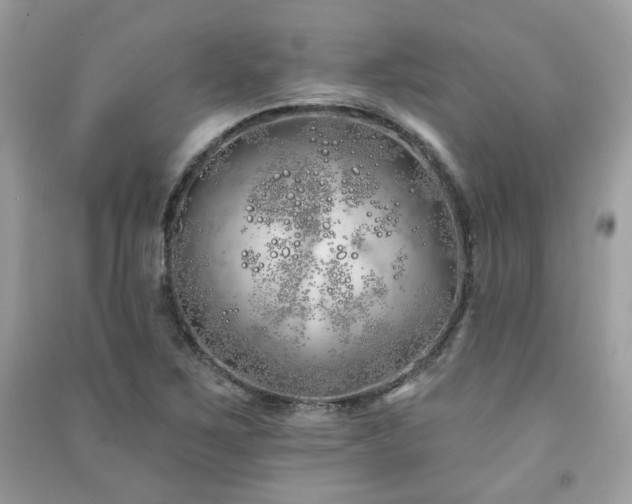 X0000091371267200708101525