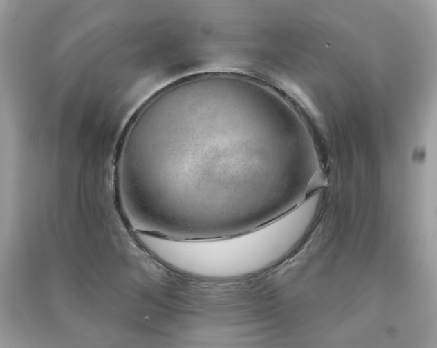 X0000091371268200708101525