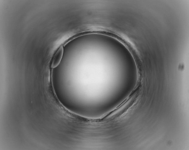 X0000091371269200708101525