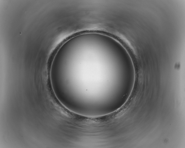 X0000091371270200708101525