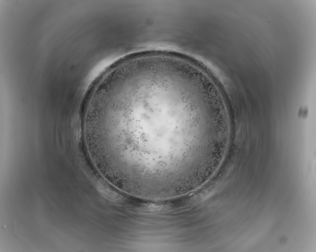 X0000091371271200708101524