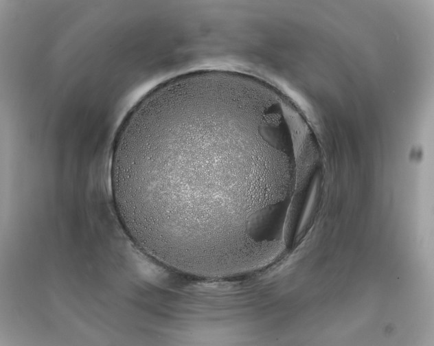 X0000091371272200708101524