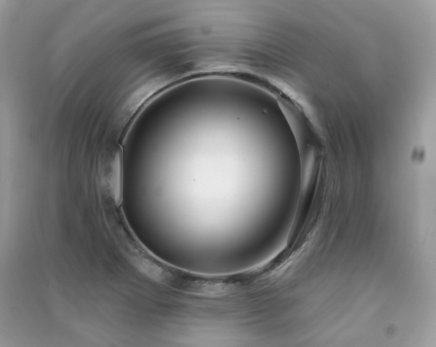 X0000091371273200708101524