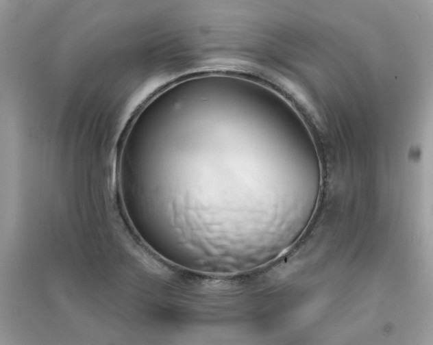 X0000091371275200708101524