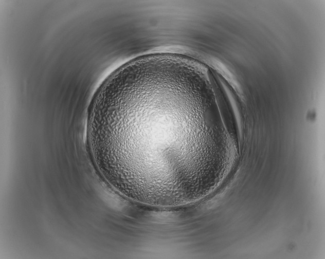 X0000091371276200708101524