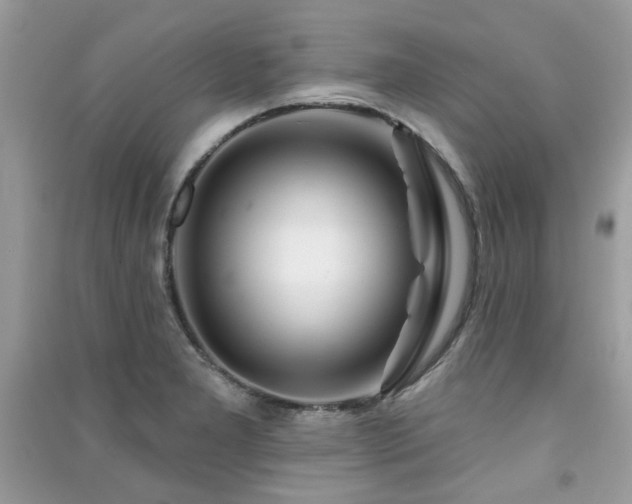 X0000091371277200708101524