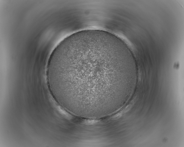 X0000091371278200708101524