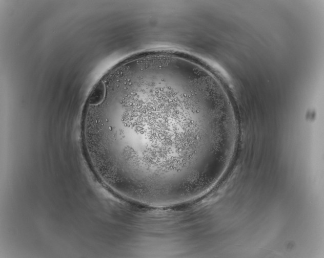 X0000091371279200708101524