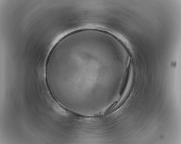 X0000091371280200708101524