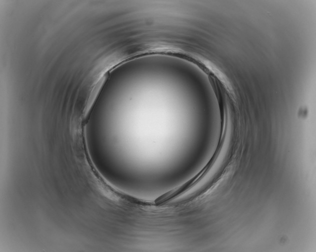 X0000091371281200708101524