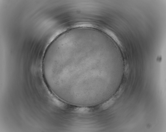 X0000091371282200708101524