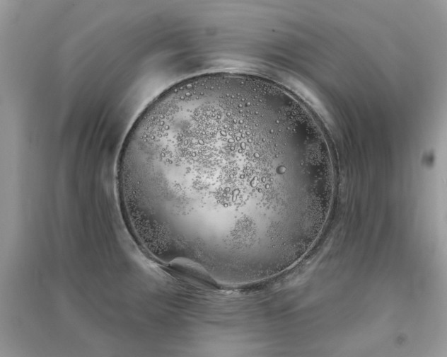 X0000091371283200708101524