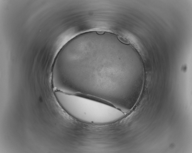 X0000091371284200708101524