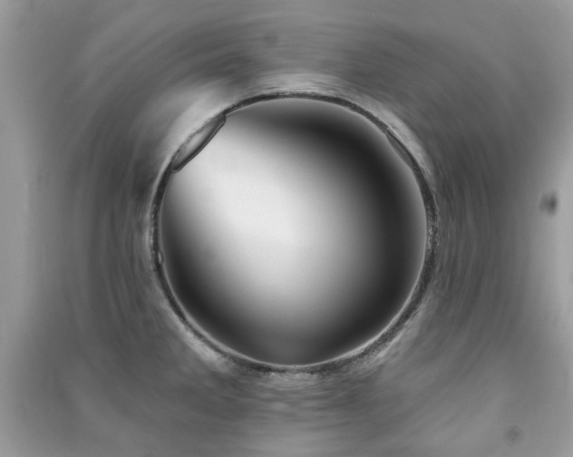 X0000091371285200708101524