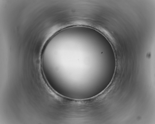 X0000091371286200708101524