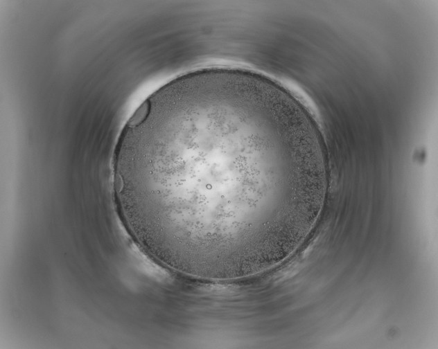 X0000091371287200708101524