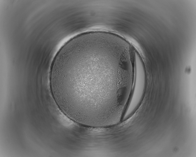 X0000091371288200708101524