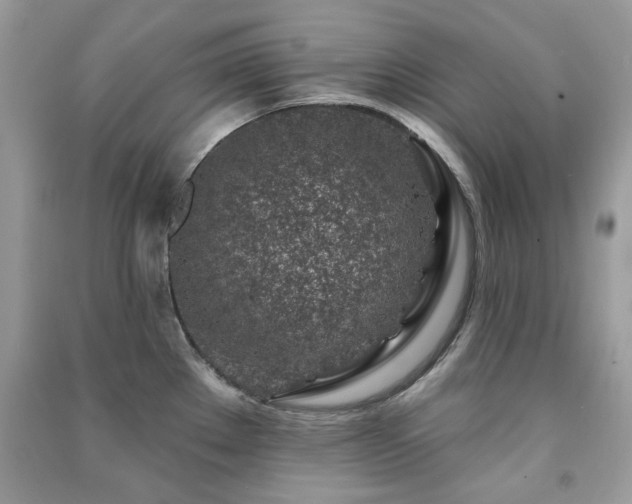 X0000091371289200708101524