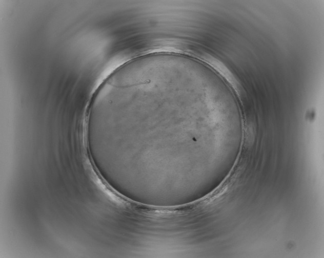 X0000091371290200708101524