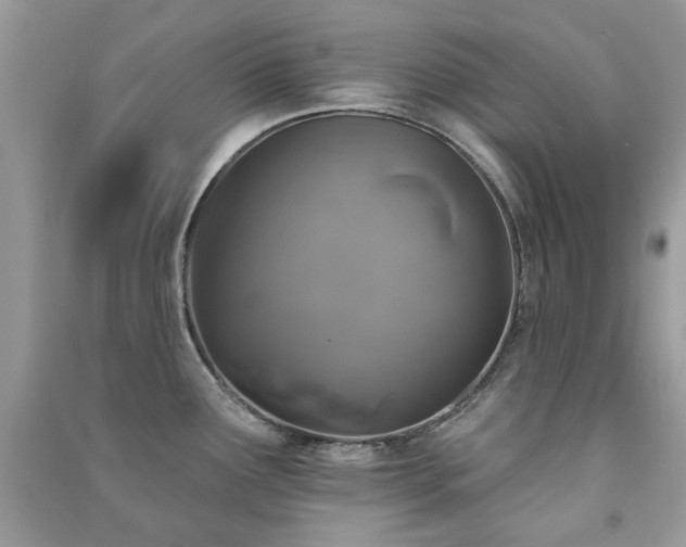 X0000091371291200708101524