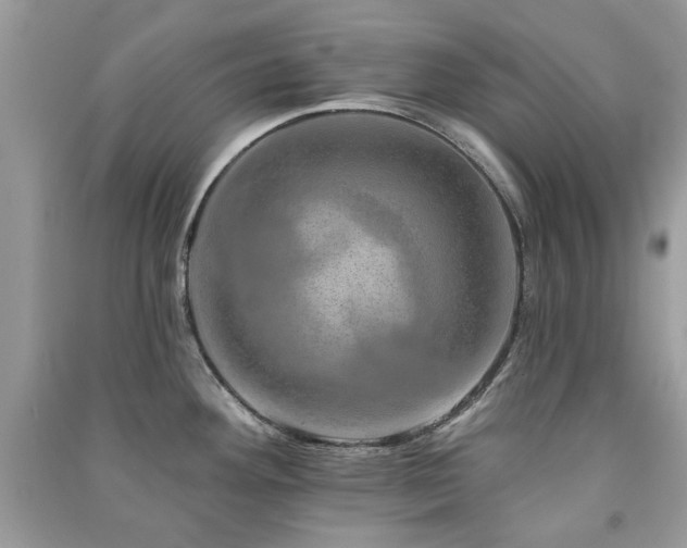 X0000091371292200708101524