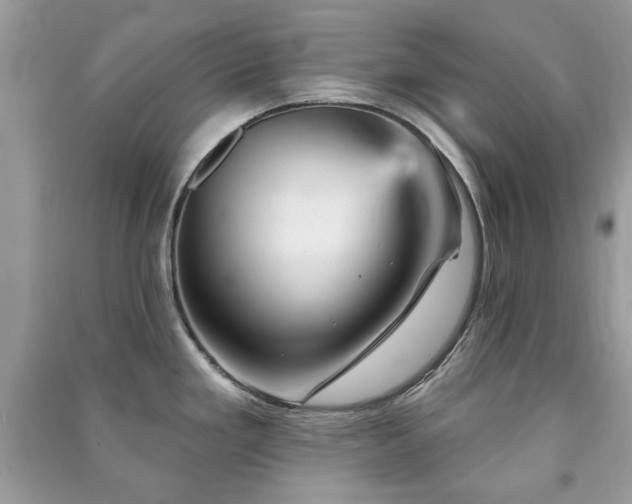 X0000091371293200708101524