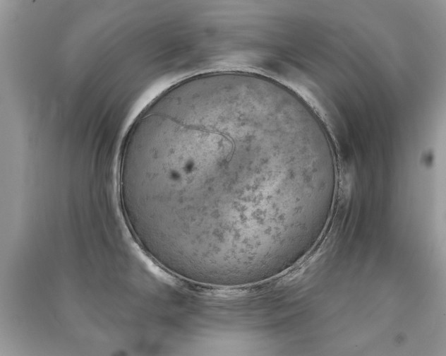 X0000091371294200708101524