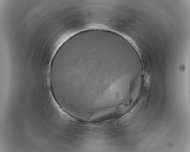 X0000091371295200708101524